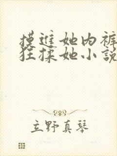 摸进她内裤里疯狂揉她小说封面