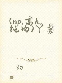 (np,高h,纯肉)丫鬟