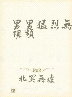 男男猛烈无遮掩视频