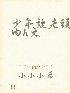 少年被老头玩弄肉h文