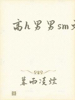 高h男男sm文