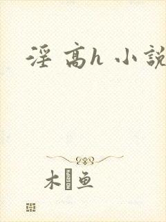 淫 高h 小说