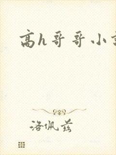 高h哥哥小说封面