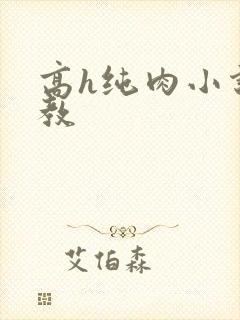 高h纯肉小说调教封面