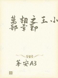 万相之王小说全部章节