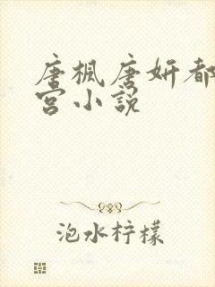 唐枫唐妍都市后宫小说