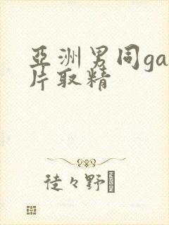 亚洲男同gay片取精