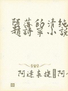 堕落的清纯少女赵诗宁小说封面