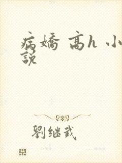 病娇 高h 小说