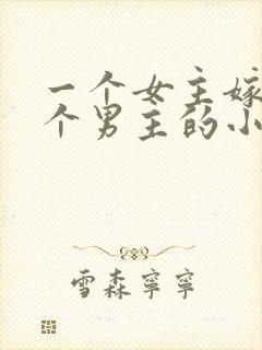 一个女主嫁给多个男主的小说