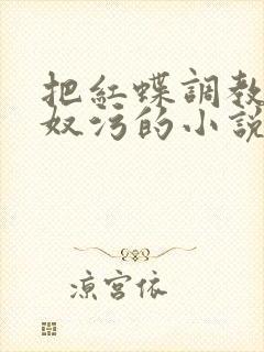 把红蝶调教成肉奴污的小说封面