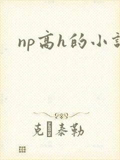np高h的小说