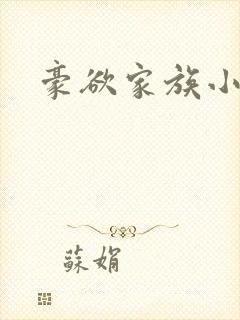 豪欲家族小说