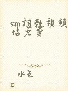sm调教视频网站免费