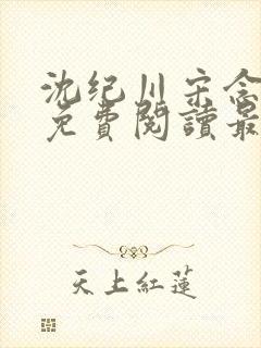 沈纪川宋念小说免费阅读最新章节封面