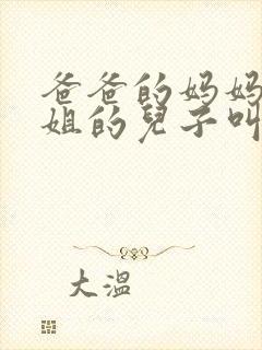 爸爸的妈妈的姐姐的儿子叫什么