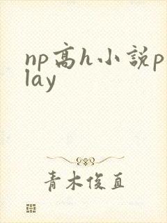 np高h小说play封面