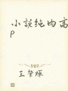 小说纯肉高hnp