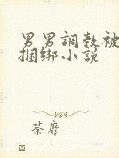 男男调教被c哭捆绑小说封面