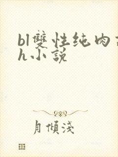 bl双性纯肉高h小说