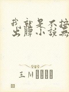 我就是不按套路出牌小说无删减在线阅读