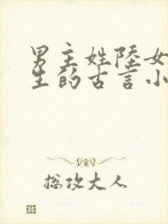 男主姓陆女主重生的古言小说封面