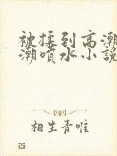 被揉到高潮失禁潮喷水小说