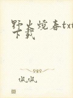野火烧春txt下载