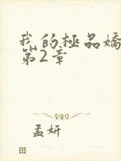 我的极品娇妻 第2章