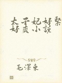 太子妃好紧皇上好爽小说封面