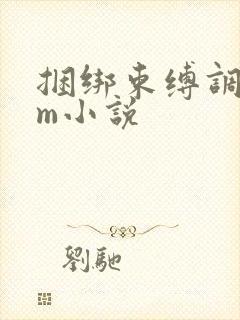 捆绑束缚调教sm小说