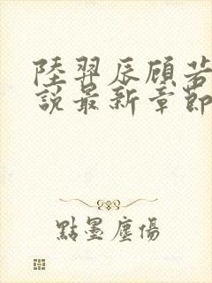 陆羿辰顾若熙小说最新章节封面