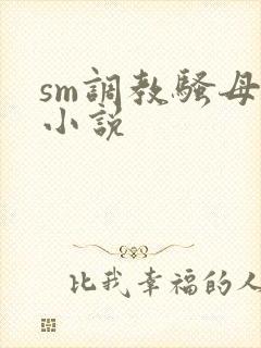 sm调教骚母狗小说