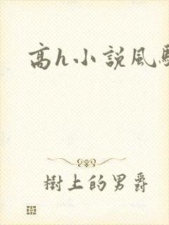 高h小说风骚