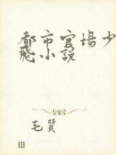 都市官场少妇双飞小说