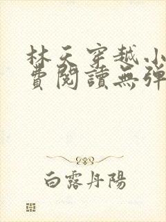 林天穿越小说免费阅读无弹窗封面