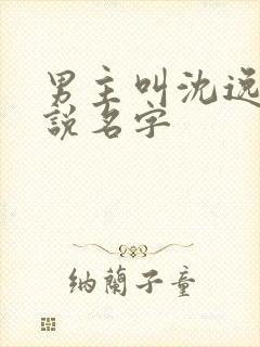 男主叫沈逸的小说名字