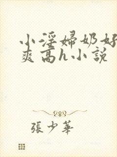 小淫妇奶好大好爽高h小说
