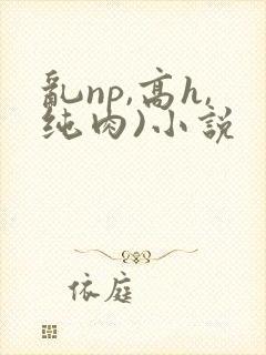 乱np,高h,纯肉)小说封面