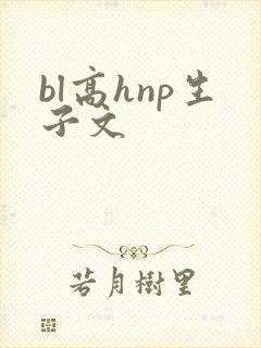 bl高hnp生子文封面