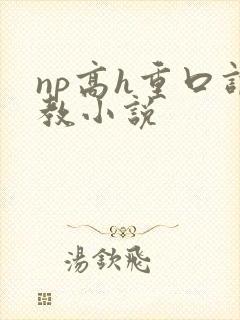 np高h重口调教小说