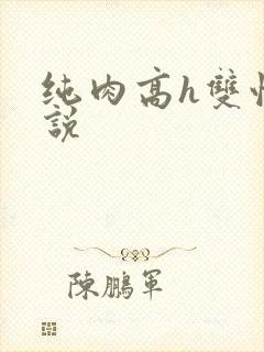 纯肉高h双性小说