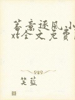 蓄意逐风小说txt全文免费阅读