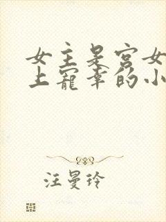 女主是宫女被皇上宠幸的小说