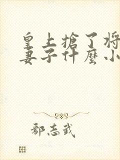 皇上抢了将军的妻子什么小说