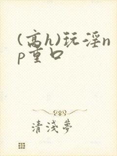 (高h)玩淫np重口封面