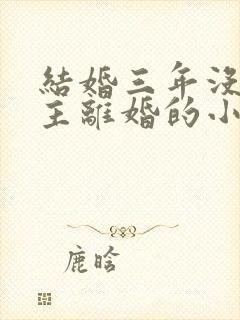 结婚三年没碰女主离婚的小说