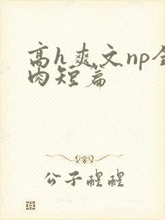 高h爽文np全肉短篇封面