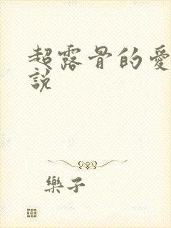 超露骨的爱爱小说