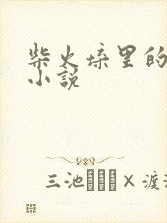 柴火垛里的疯狂小说